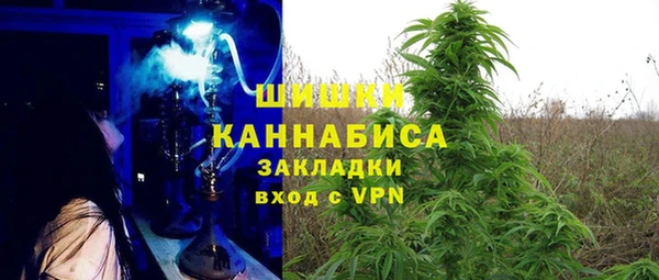 PSILOCYBIN Белоозёрский